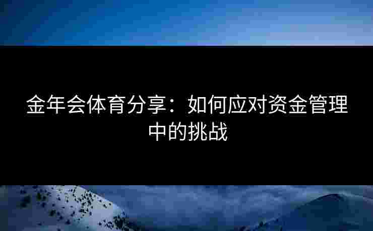 金年会体育分享：如何应对资金管理中的挑战