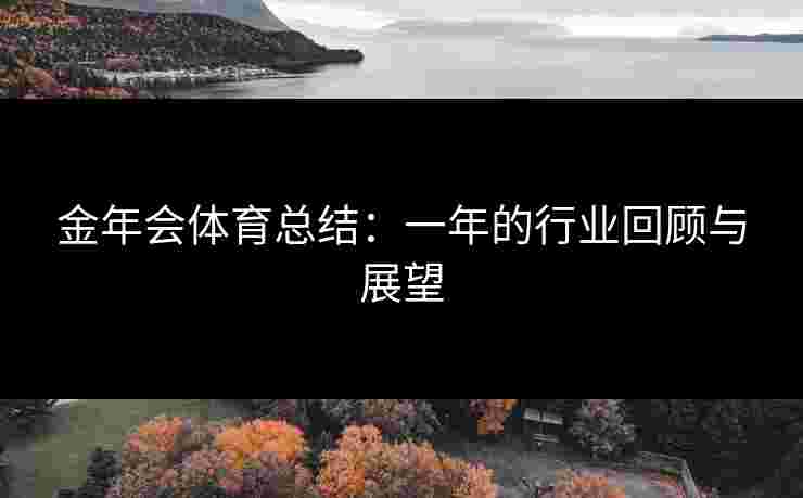 金年会体育总结：一年的行业回顾与展望